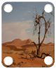 Desert Sand