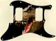 Dinosaur Raptor