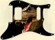 Dinosaur Raptor