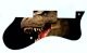 Dinosaur Raptor