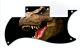 Dinosaur Raptor