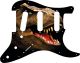 Dinosaur Raptor