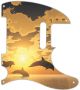 Dolphin Sunset - Vintera '50s Tele