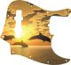 Dolphin Sunset