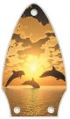 Dolphin Sunset