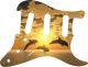 Dolphin Sunset - Vintera '50s Strat