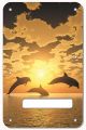 Dolphin Sunset