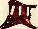 Dragon Breath - SSS Elite Strat