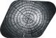 Dried Tree Rings