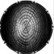 Dried Tree Rings