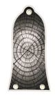 Dried Tree Rings