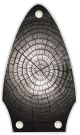 Dried Tree Rings