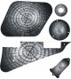 Dried Tree Ring