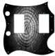 Dried Tree Rings