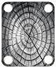 Dried Tree Ring