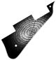 Dried Tree Rings