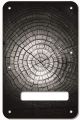 Dried Tree Rings
