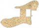 Dry Dirt - Vintera '70s Tele Custom