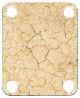 Dry Dirt