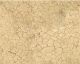 Dry Dirt