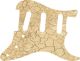 Dry Dirt - Vintera '70s Strat