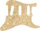 Dry Dirt - Vintera '60s Strat