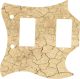 Dry Dirt