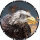 Eagle 1