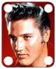 Elvis 4
