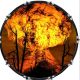 Explosive 4