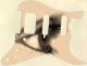 Eye Beige - HSS Shawbucker Elite Strat