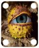 Eye Conker