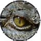 Eye Crocodile 1