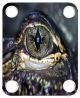 Eye Crocodile 2