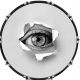 Eye Emerge 2
