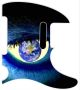 Eye for the World