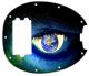 Eye for the World