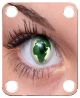 Eye Globe 1