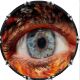 Eye Hybrid