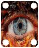 Eye Hybrid