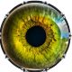 Eye Iris 1