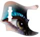 Eye Makeup