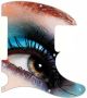 Eye Makeup - Avril Lavigne Tele