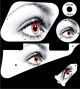 Eye WH