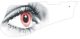 Eye White