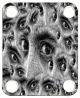 Eyes 1