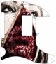 Face Unzipped - 8 Hole H Tele