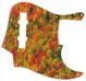 Fall Colors