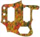 Fall Colors