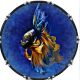 Fighting Fish
